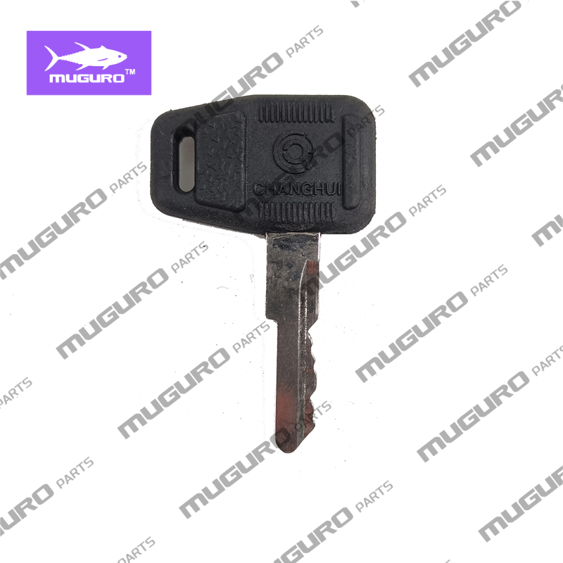 SP115882 Zündschlüssel für Liu – Heavy Equipment Loader Bewertung und Preis